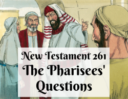 NT 261 - The Pharisees' Questions
